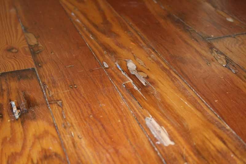 Floor Repair