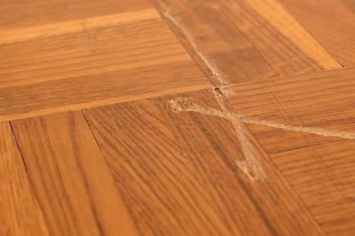 Floor Repair